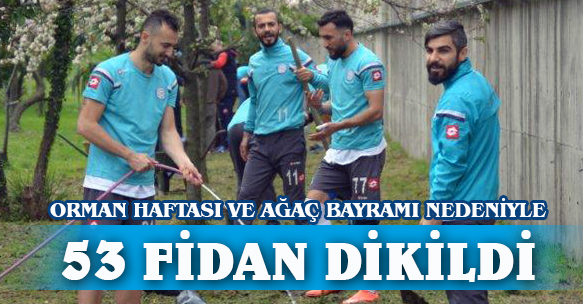 ORMAN HAFTASINDA 53 FİDAN DİKİLDİ